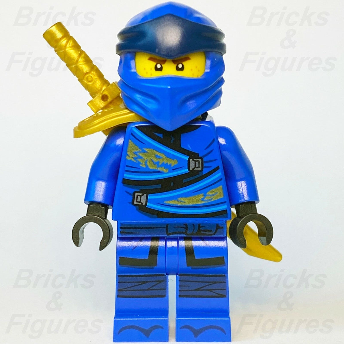 LEGO Ninjago 71739 Minifigures – Ultra Sonic Raider