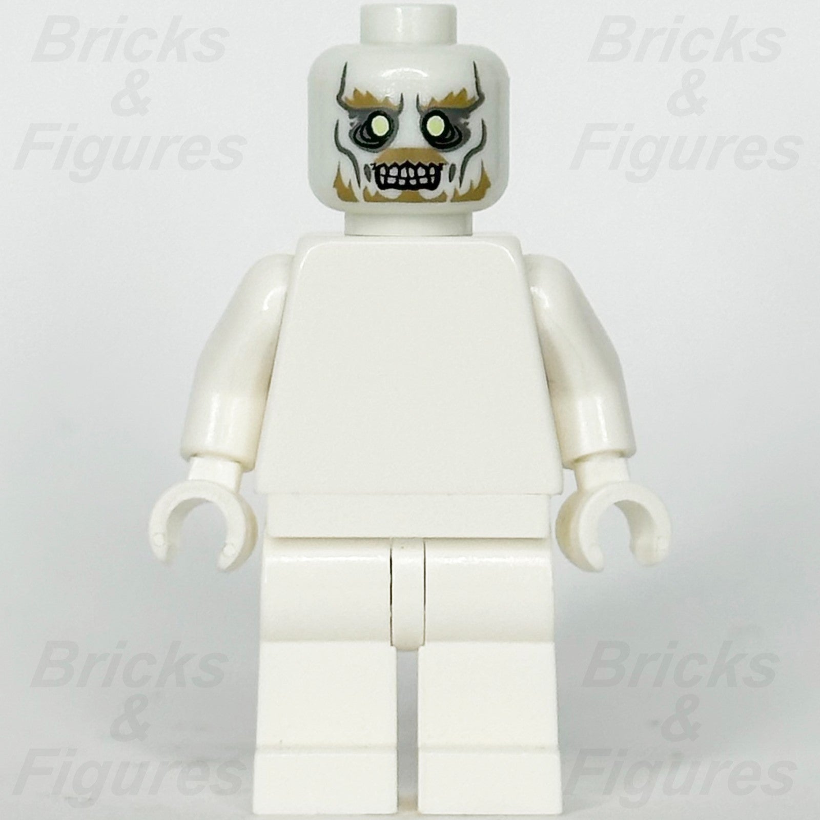 LEGO The Lord of the Rings King of the Dead Minifigure Head Part Glow 790083