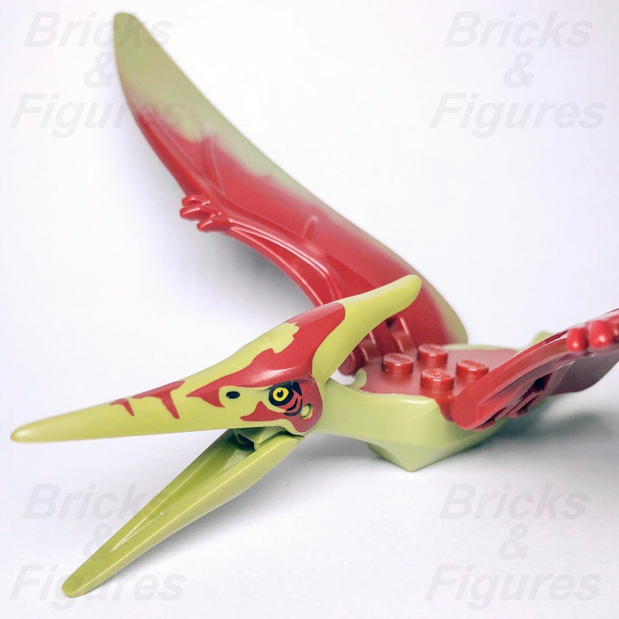 LEGO Jurassic World Pteranodon Dinosaur Fallen Kingdom Animal 75926 Olive Green2