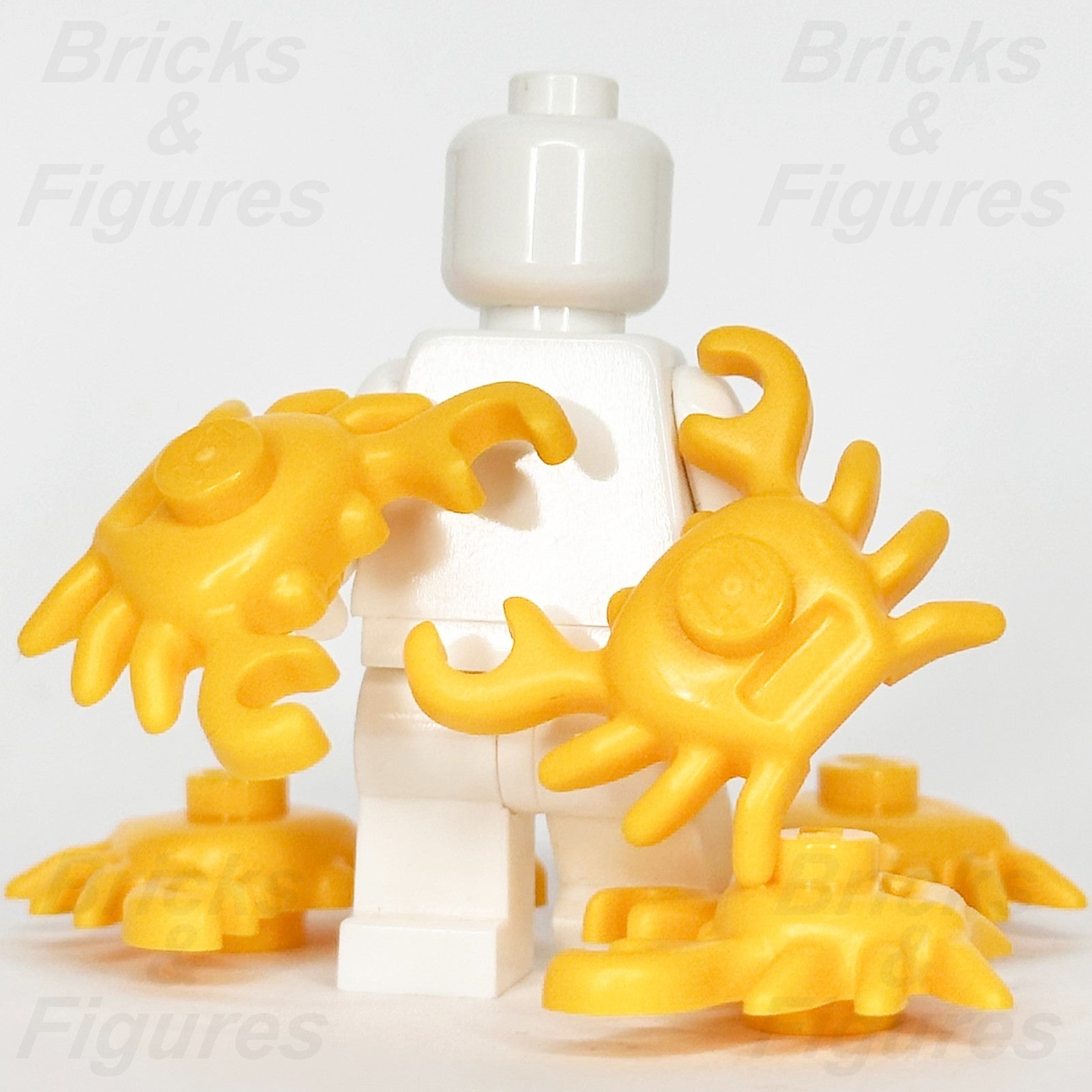 productimage1