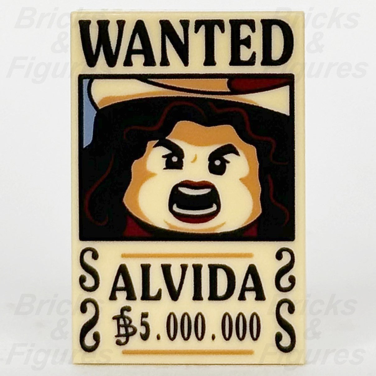45791405