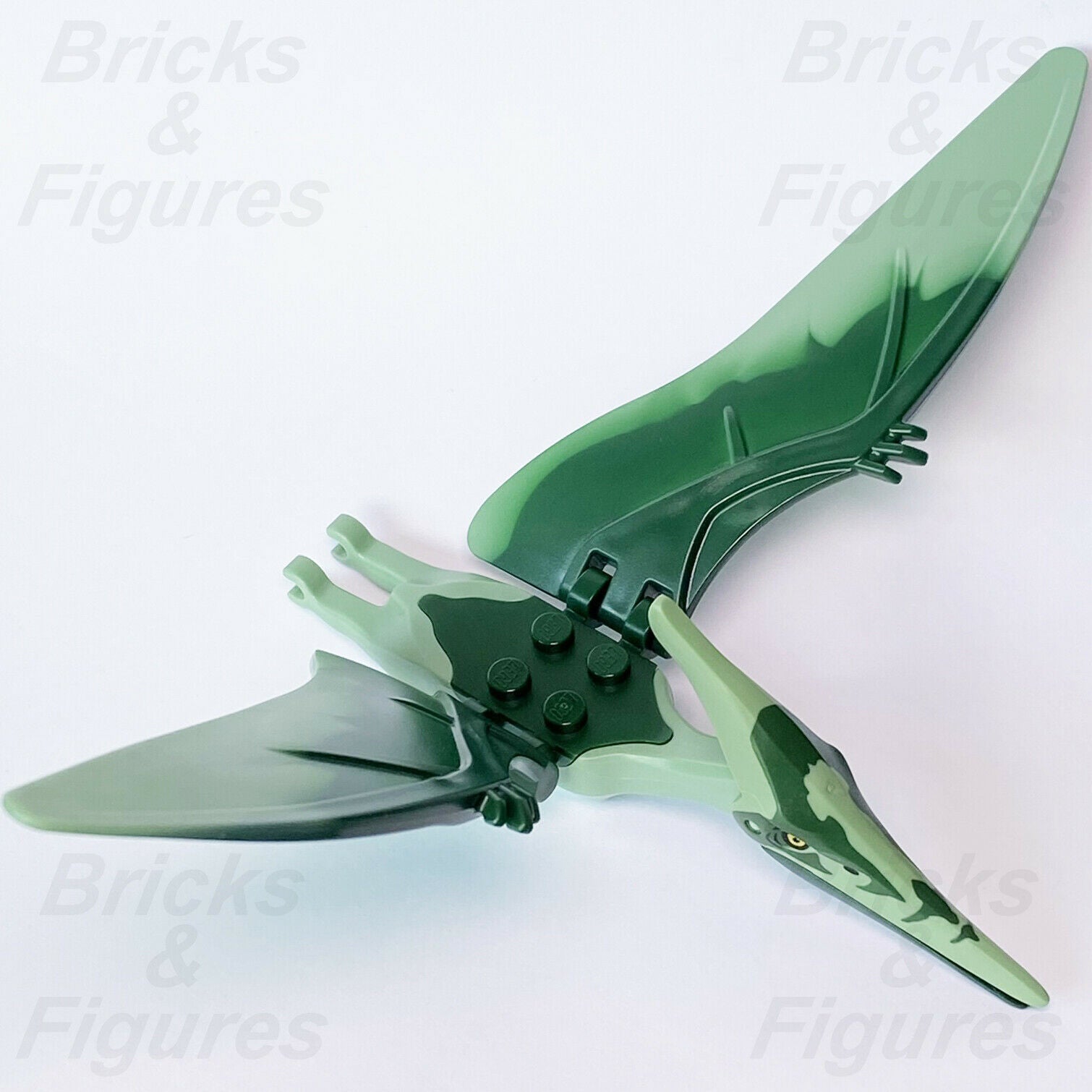 New Jurassic World LEGO Pteranodon with Dark Green Markings Dinosaur 75940 - Bricks & Figures