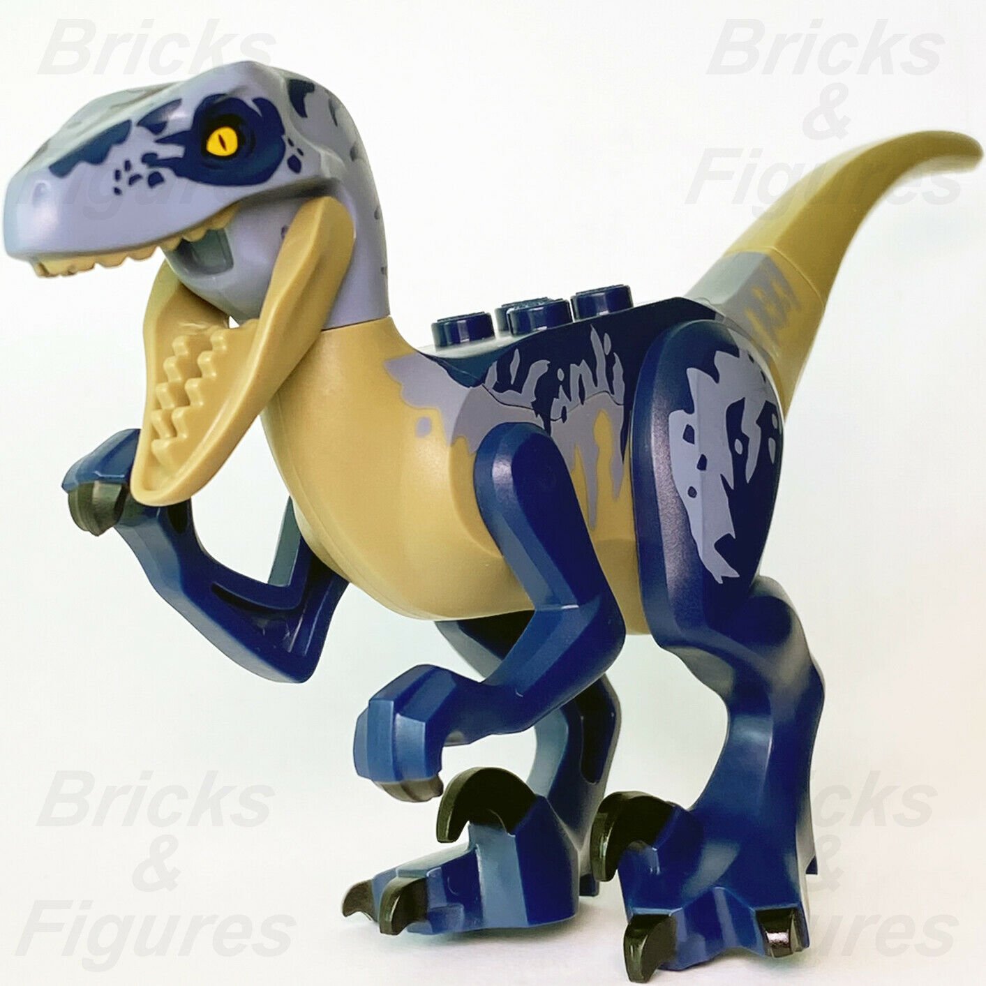 New Jurassic World LEGO Raptor Dark Blue & Sand Blue Markings Dinosaur 75942 - Bricks & Figures