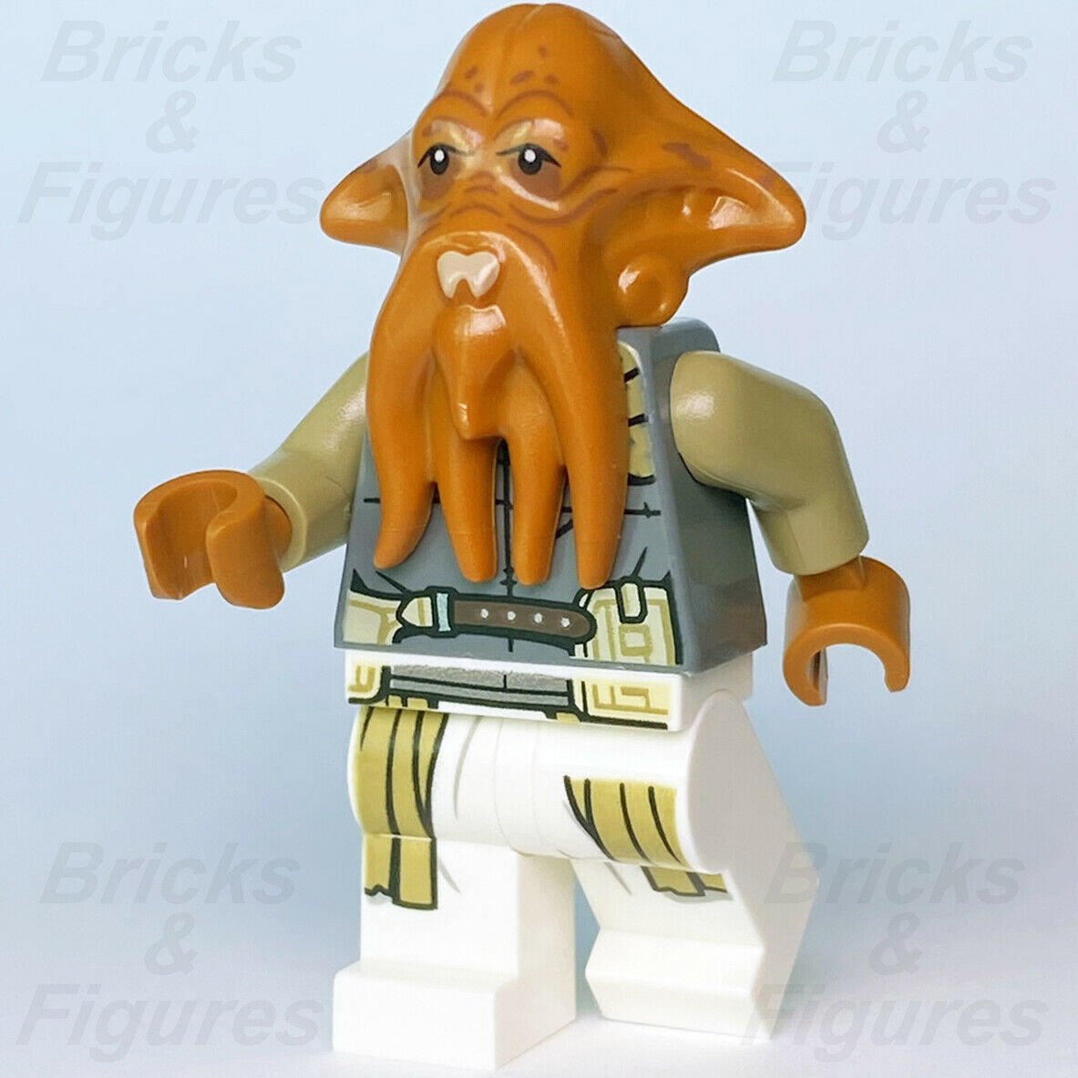 Star Wars LEGO Quarren Squid Head The Book of Boba Fett Minifigure 75326 sw1195 - Bricks & Figures